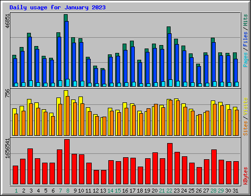 Daily usage for January 2023