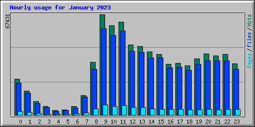 Hourly usage for January 2023