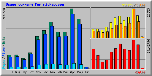 Usage summary for riskav.com